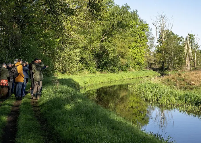 Modern In With Parking