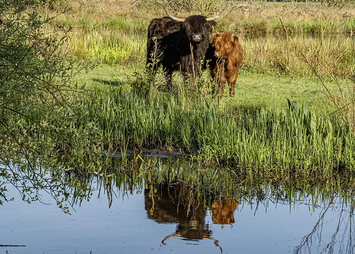 Modern In With Parking Apartment *